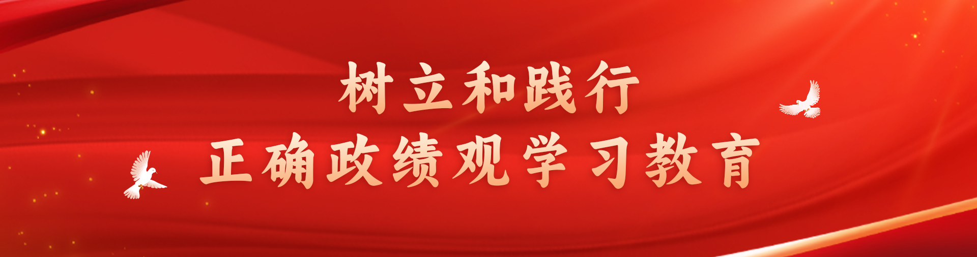 樹立和踐行正確政績觀學(xué)習(xí)教育